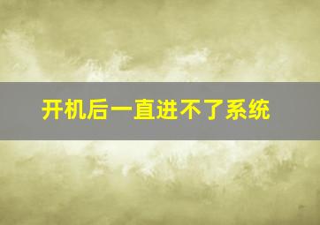 开机后一直进不了系统