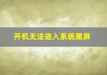 开机无法进入系统黑屏