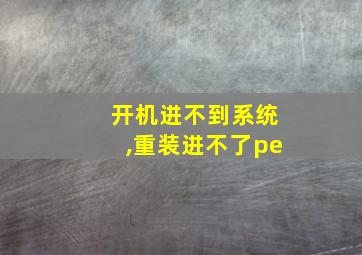 开机进不到系统,重装进不了pe