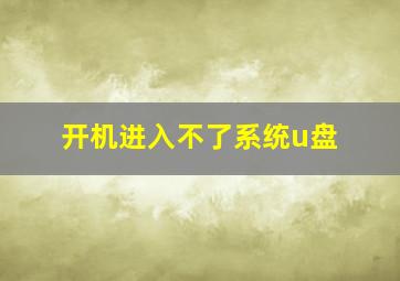 开机进入不了系统u盘