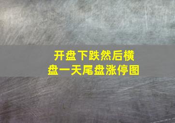 开盘下跌然后横盘一天尾盘涨停图