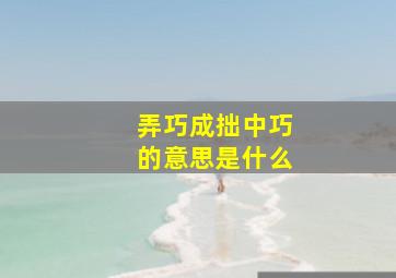 弄巧成拙中巧的意思是什么