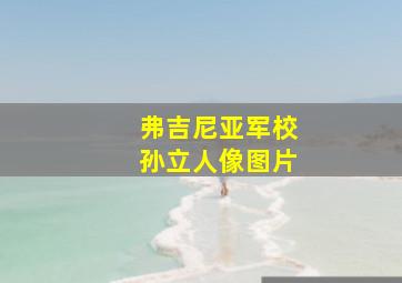 弗吉尼亚军校孙立人像图片