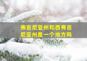 弗吉尼亚州和西弗吉尼亚州是一个地方吗