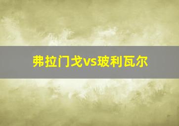 弗拉门戈vs玻利瓦尔