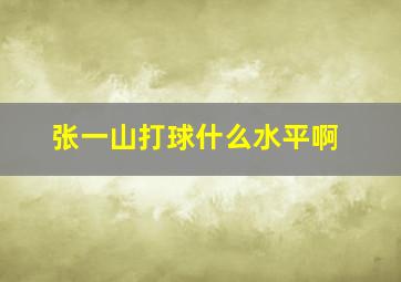 张一山打球什么水平啊