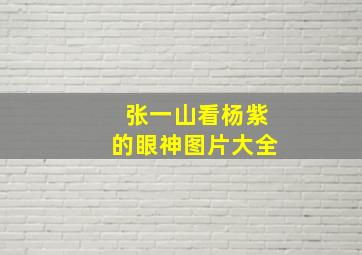 张一山看杨紫的眼神图片大全