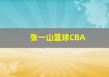 张一山篮球CBA