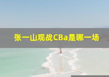 张一山观战CBa是哪一场