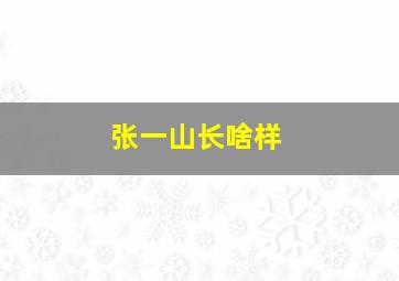 张一山长啥样