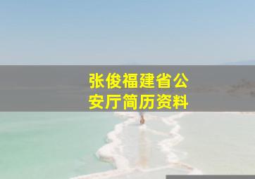 张俊福建省公安厅简历资料