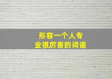 形容一个人专业很厉害的词语