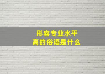 形容专业水平高的俗语是什么