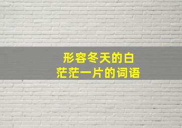 形容冬天的白茫茫一片的词语