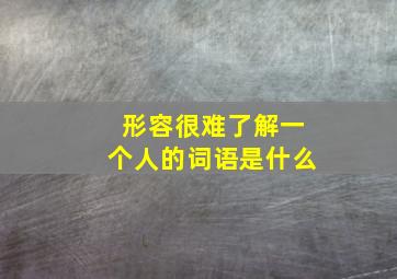 形容很难了解一个人的词语是什么