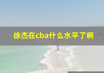 徐杰在cba什么水平了啊