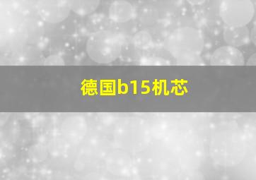 德国b15机芯