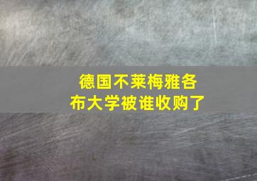 德国不莱梅雅各布大学被谁收购了