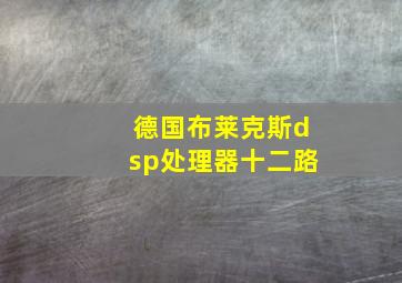 德国布莱克斯dsp处理器十二路