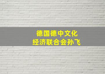 德国德中文化经济联合会孙飞