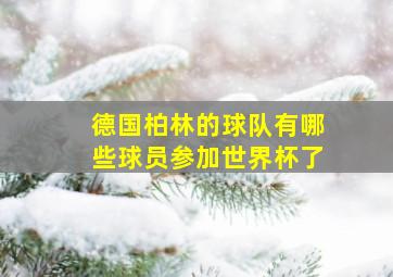 德国柏林的球队有哪些球员参加世界杯了