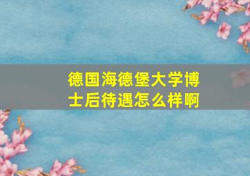 德国海德堡大学博士后待遇怎么样啊