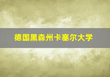 德国黑森州卡塞尔大学