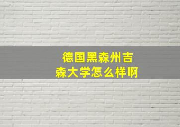 德国黑森州吉森大学怎么样啊