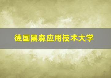 德国黑森应用技术大学