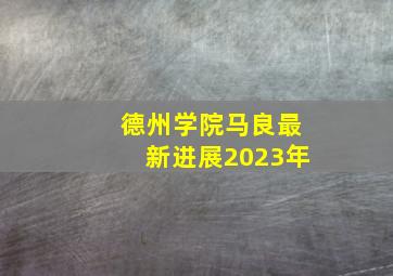 德州学院马良最新进展2023年