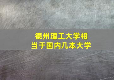 德州理工大学相当于国内几本大学