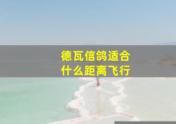 德瓦信鸽适合什么距离飞行