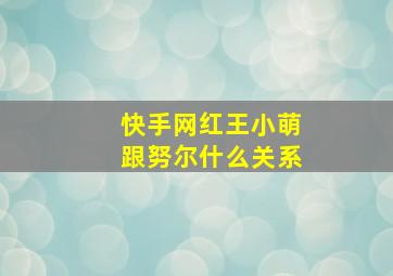 快手网红王小萌跟努尔什么关系