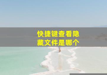 快捷键查看隐藏文件是哪个