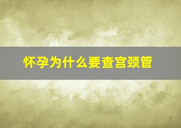 怀孕为什么要查宫颈管