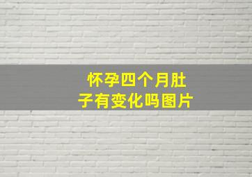 怀孕四个月肚子有变化吗图片