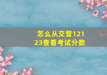 怎么从交管12123查看考试分数