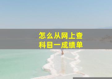 怎么从网上查科目一成绩单