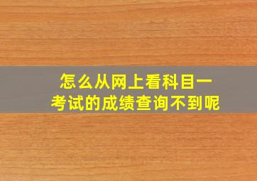 怎么从网上看科目一考试的成绩查询不到呢