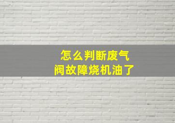 怎么判断废气阀故障烧机油了