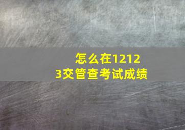 怎么在12123交管查考试成绩