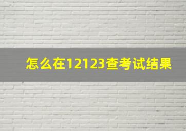 怎么在12123查考试结果