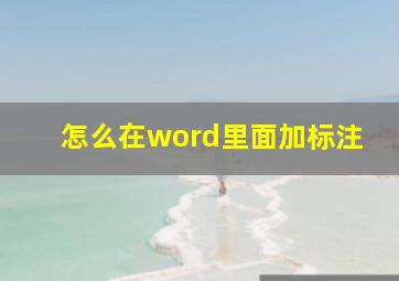 怎么在word里面加标注