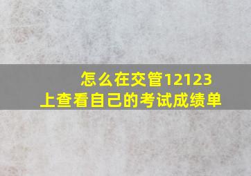 怎么在交管12123上查看自己的考试成绩单