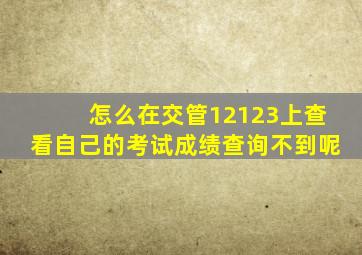 怎么在交管12123上查看自己的考试成绩查询不到呢