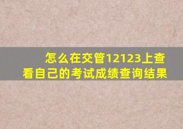 怎么在交管12123上查看自己的考试成绩查询结果