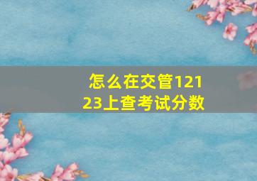 怎么在交管12123上查考试分数