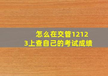 怎么在交管12123上查自己的考试成绩