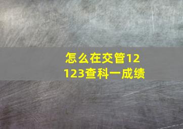 怎么在交管12123查科一成绩