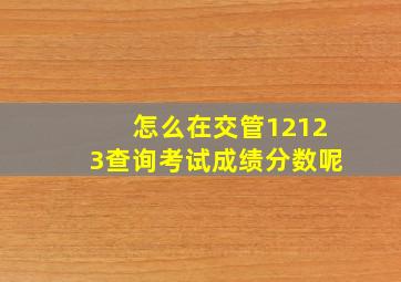 怎么在交管12123查询考试成绩分数呢